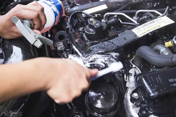 5 cách chống chuột vào khoang máy xe ô tô đơn giản hiệu quả nhất