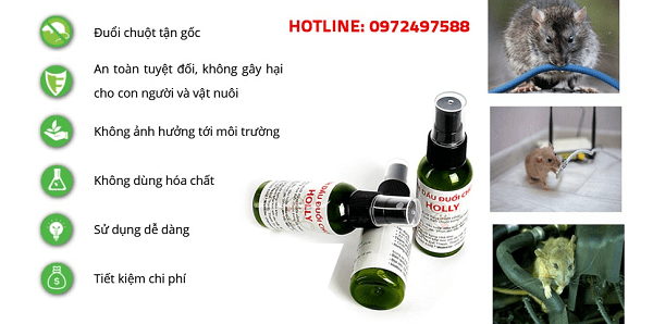 Thuốc đuổi chuột cho xe ô tô Holly