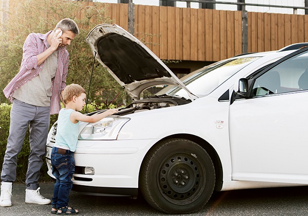 Cách chống chuột vào xe ô tô! Mẹo hay bất ngờ!